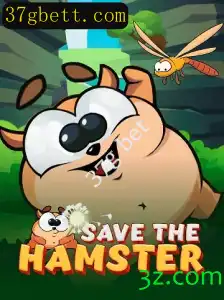 Explorando SavetheHamster: Um Guia Completo